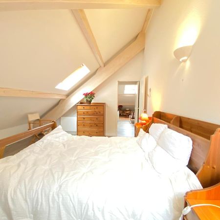 Place De La Mairie T2 Type Loft 70M2 Terrasse 35M2 コテレ エクステリア 写真